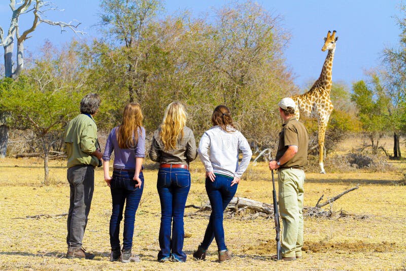 Nelspruit, South Africa - July 03 2012: Tourists on Safari in a Game Reserve. Nelspruit, South Africa - July 03 2012: Tourists on Safari in a Game Reserve